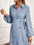 فستان قميص بحزام بأكمام فانوس الأمومة - Pink&blue